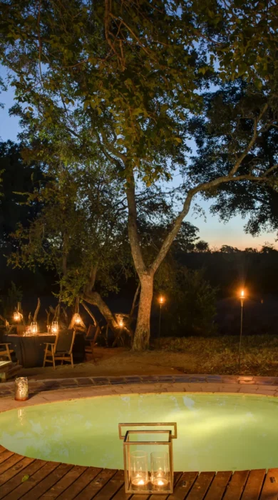 Luxury Suites South African Safari