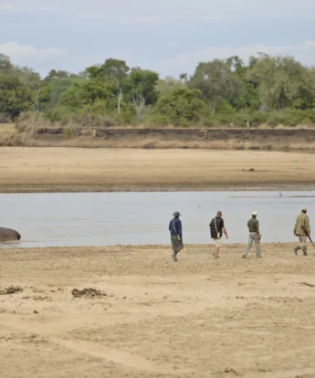 Walking Safari Zambia