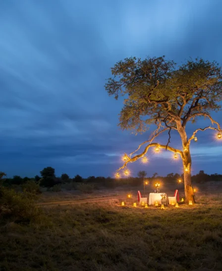 Tanda Tula Bush Bush Private Dinner