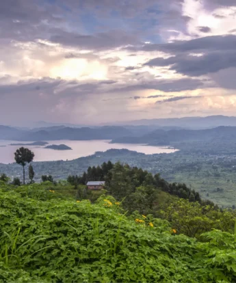57 Virunga Lodge 201565