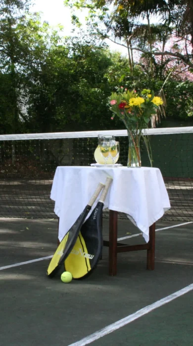 hacklewood hill country house south africa tennis yellow zebra safaris