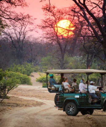 vundu camp game drive sunset zimbabwe yellow zebra safaris
