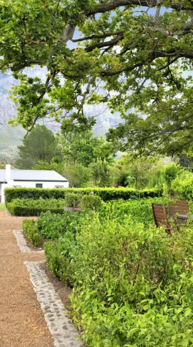annex, boschendal, the winelands, south africa