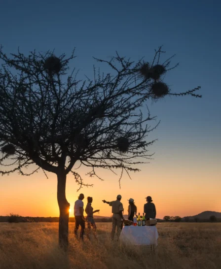 Sunset, Ongava Lodge, Etosha National Park, Namibia