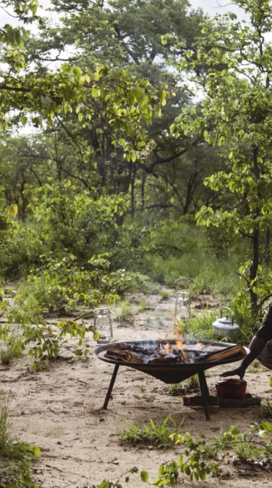 camp fire, simbavati trails camp, timbavati, south africa