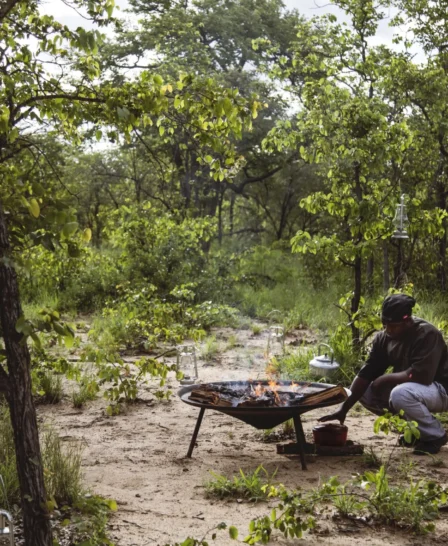 camp fire, simbavati trails camp, timbavati, south africa