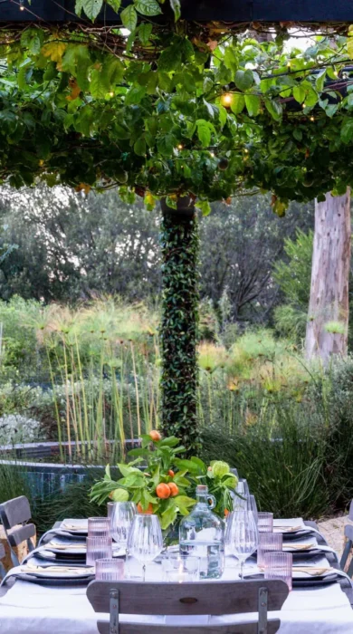 garden dining, future found sanctuary, cape town, south africa
