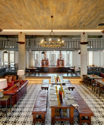main area strand hotel swaokpmund namibia yellow zebra safaris