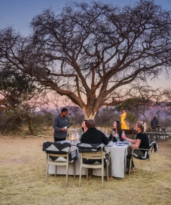 bush dinner experience, marataba mountain lodge, marakele national park