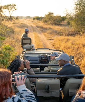 group game drive, walkers plains camp, timbavati reserve, south africa