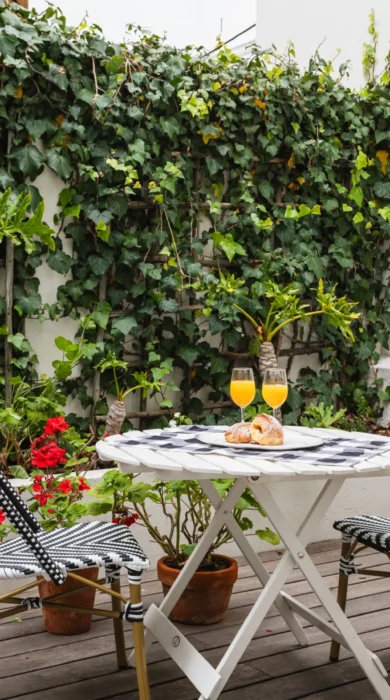Garden, Nicol Street, Cape Town, South Africa