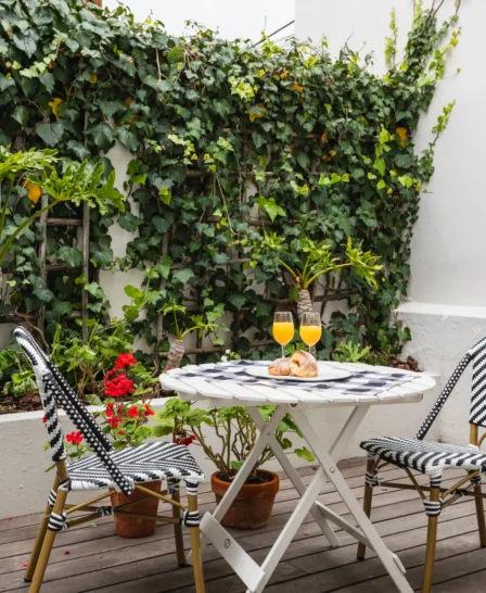 Garden, Nicol Street, Cape Town, South Africa