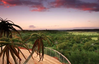 sunset, shamwari game reserve, south africa safaris