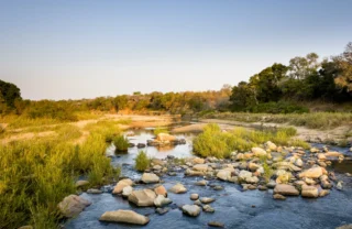 ebony lodge, sabi sand reserves, south africa safaris