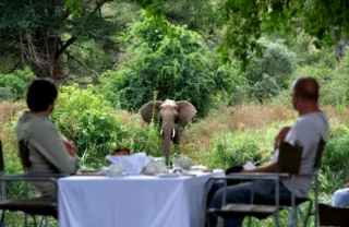 bush dinner, kruger national park, south africa