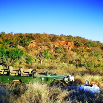 bush tea, madikwe game reserve, south africa