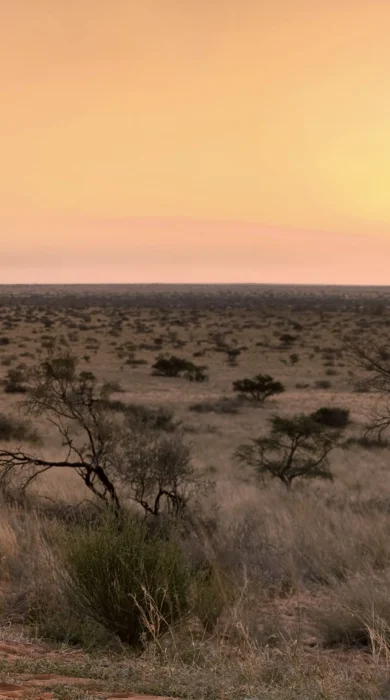 camp fire, tswalu kalahari, south africa safaris