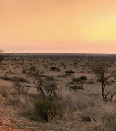 camp fire, tswalu kalahari, south africa safaris
