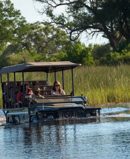 Wilderness Little Vumbura, Game Drive, Okavango Delta, Botswana