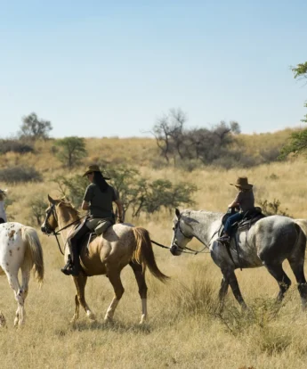 horse riding safaris, tswalu kalahari, south africa