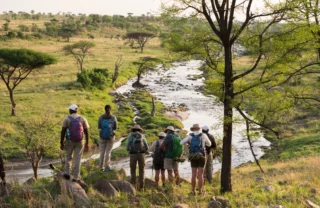 Walking safari, Wayo Serengeti Green Camp, Tanzania