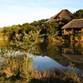 water lodge, shamwari private game reserve, south africa