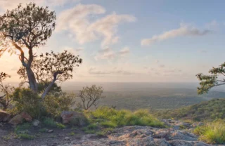 phinda game reserve viewing point, south africa safaris