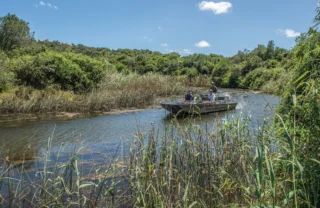 boat safaris, eastern cape, south africa holidays