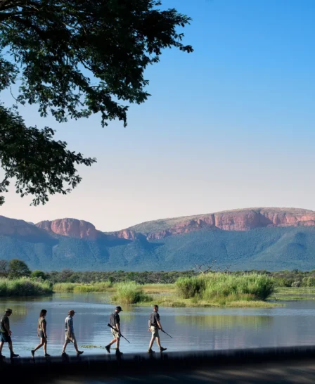 walking safaris, marakele national park, south africa