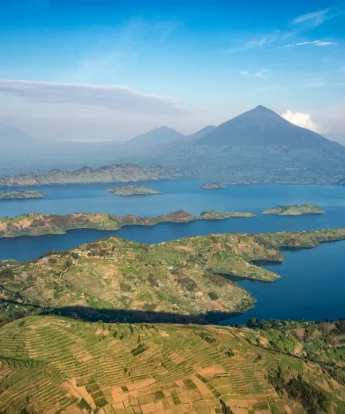 Gorillas safari, Volcanoes National Park, Rwanda