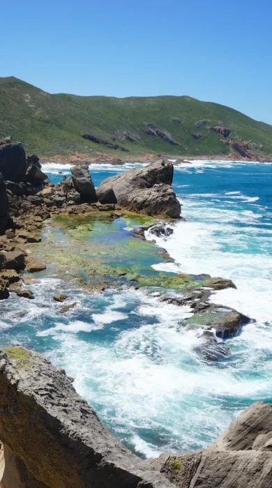 coast, plettenberg bay, south africa safaris
