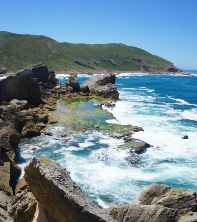 coast, plettenberg bay, south africa safaris