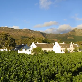 steenberg hotel, cape town, south africa safaris