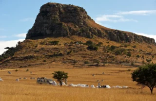 driving tours, the battlefields, south africa safaris